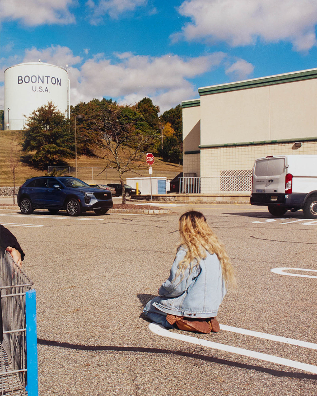 Shopping Cart (2024)